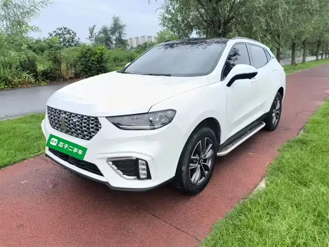 WEI PAI WEI BRAND VV5 2021