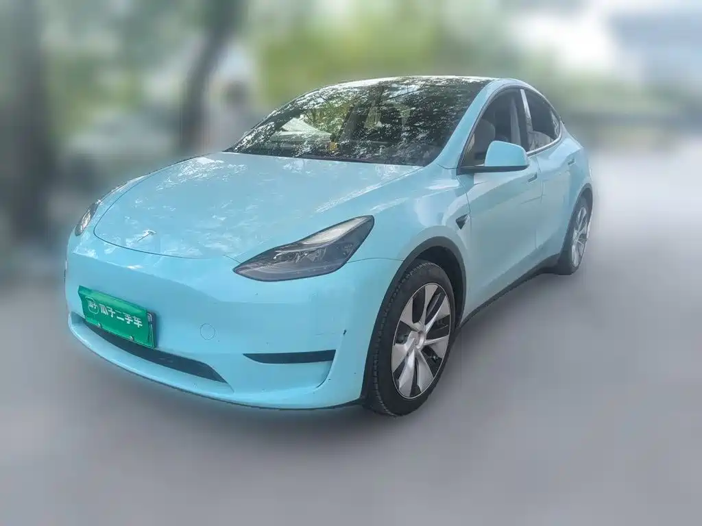 Tesla Model Y — миниатюра 2