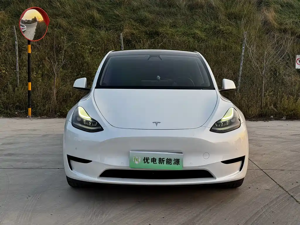 Tesla Model Y — миниатюра 2