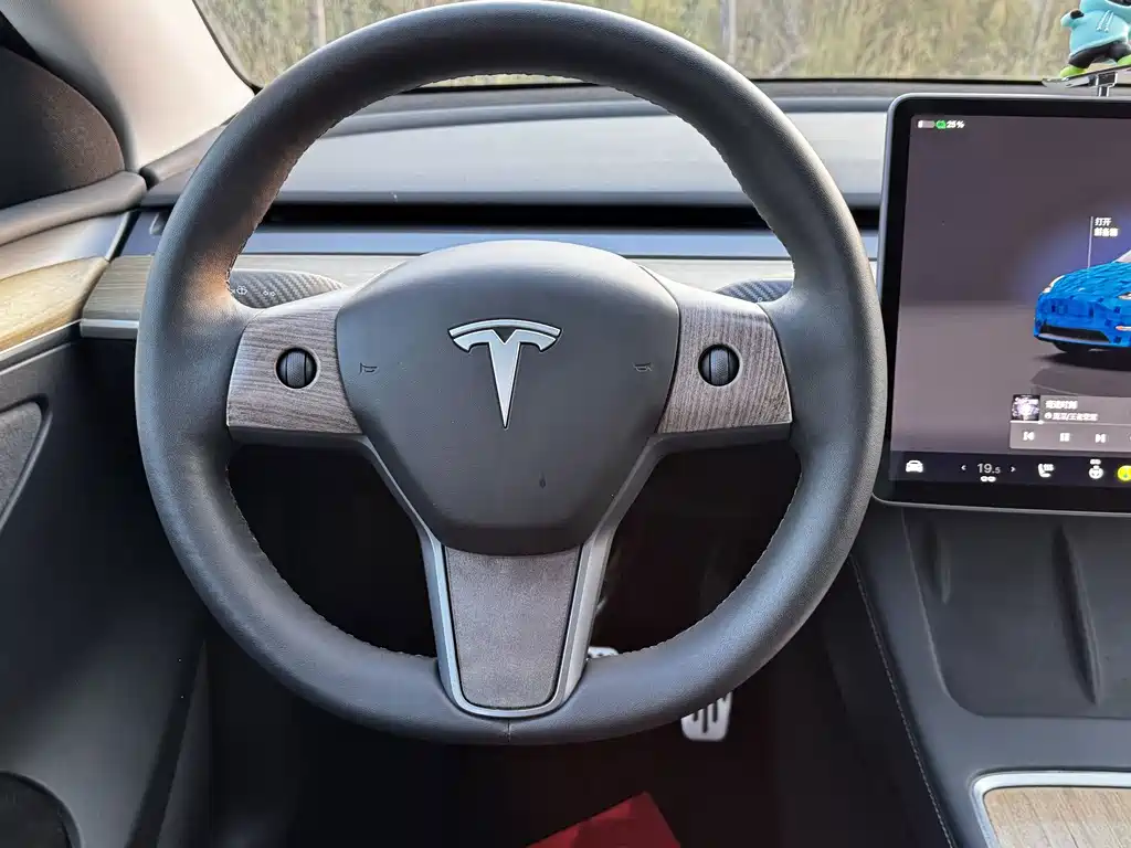 Tesla Model Y — миниатюра 17