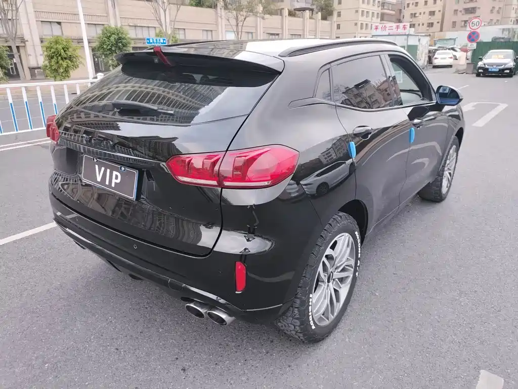 WEI PAI WEI BRAND VV5