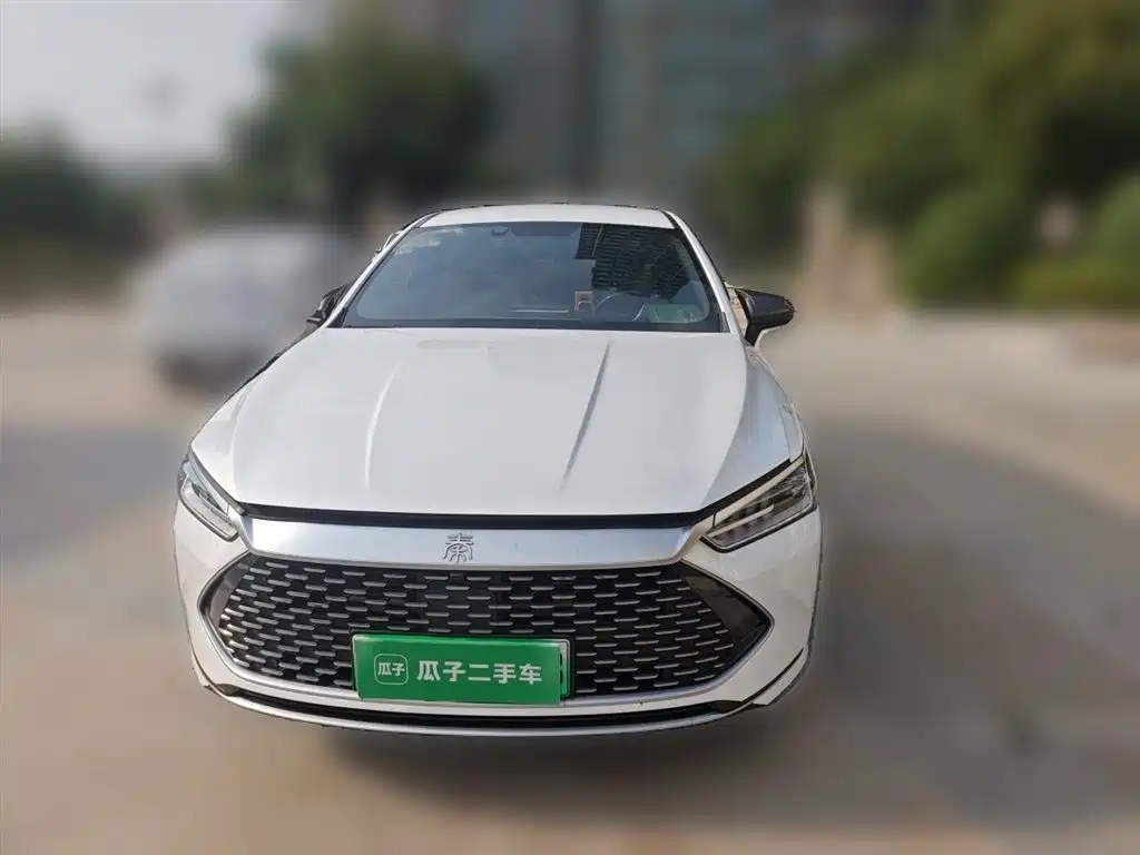 BYD Qin Plus PLUS 2023 Champion DM-i 55KM Lead