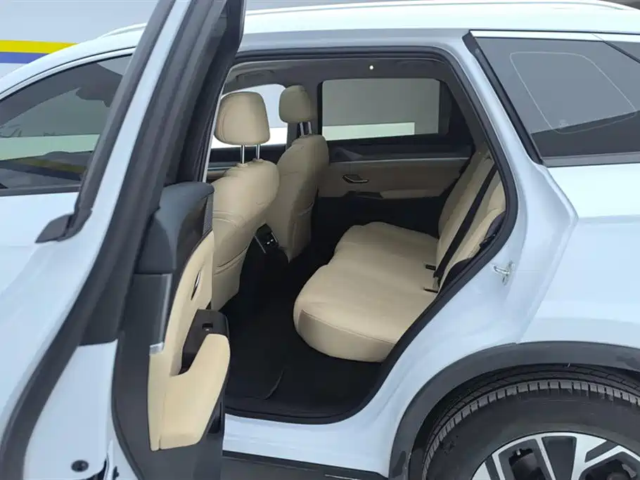 BYD SONGJIANG NEW ENERGY