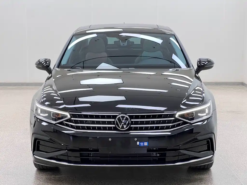 Volkswagen Magotan — миниатюра 2