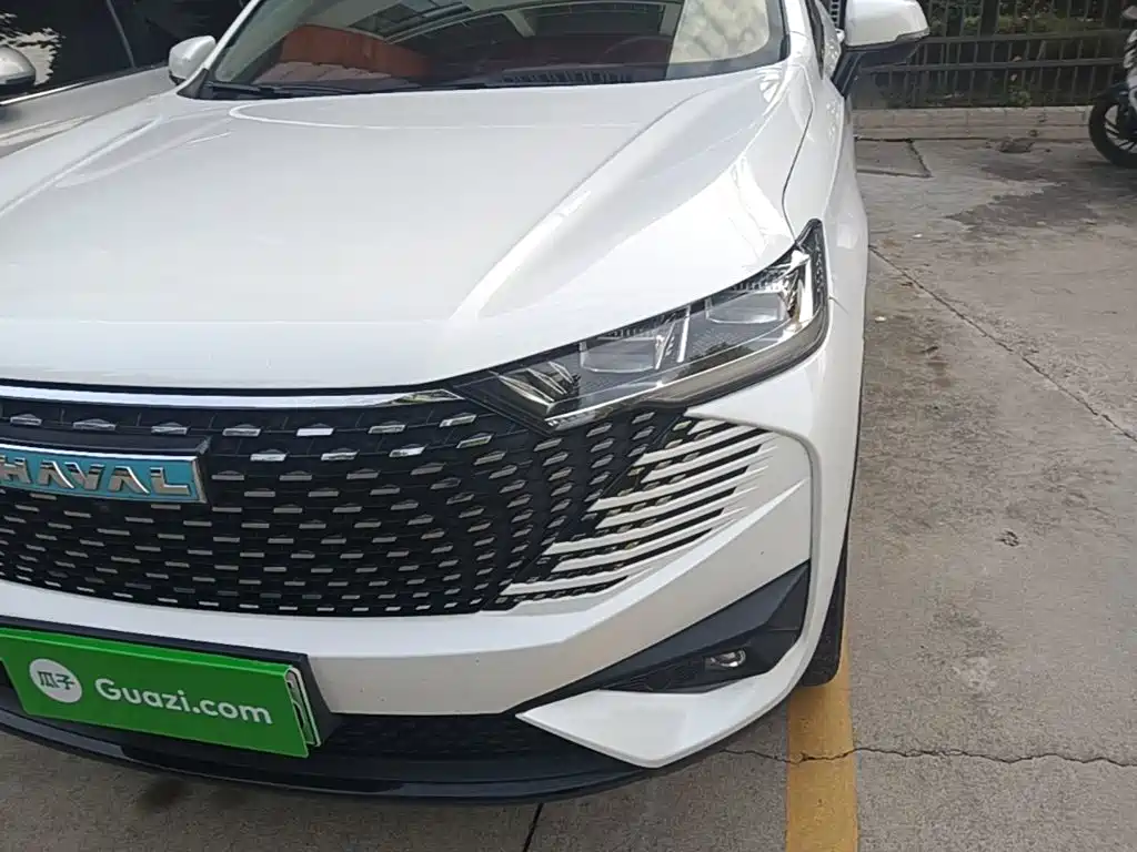 Haval H6 New Energy — миниатюра 24