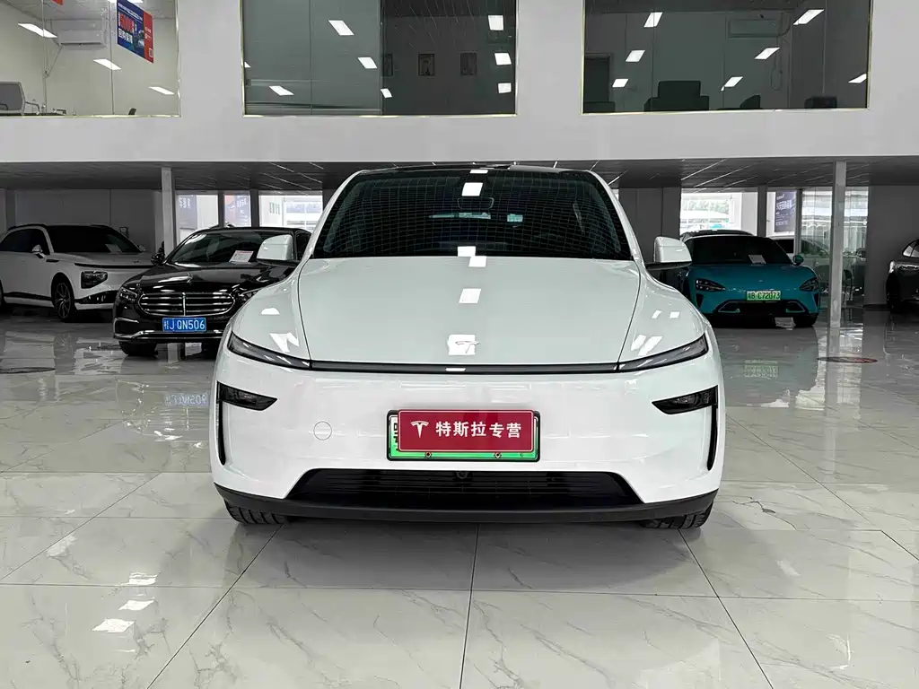 Tesla Model Y — миниатюра 2