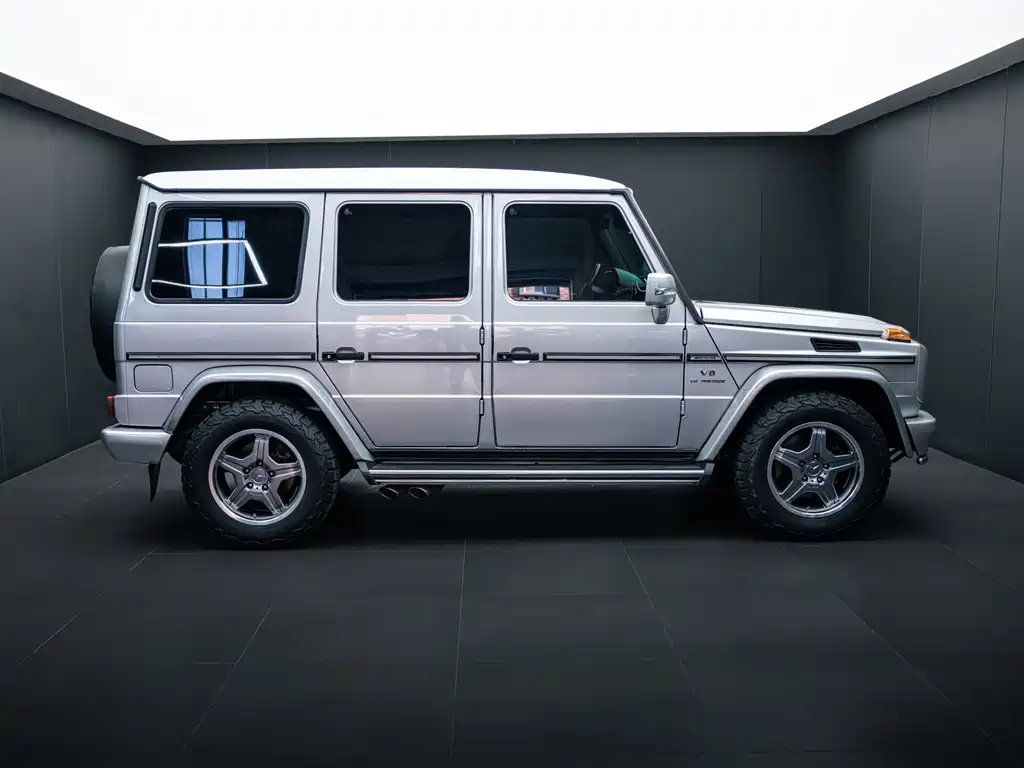 Mercedes-Benz G-Class A MG G AMG 2009 AMG G 55