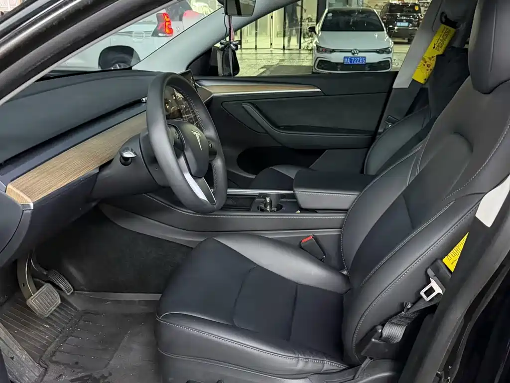 Tesla Model Y — миниатюра 4