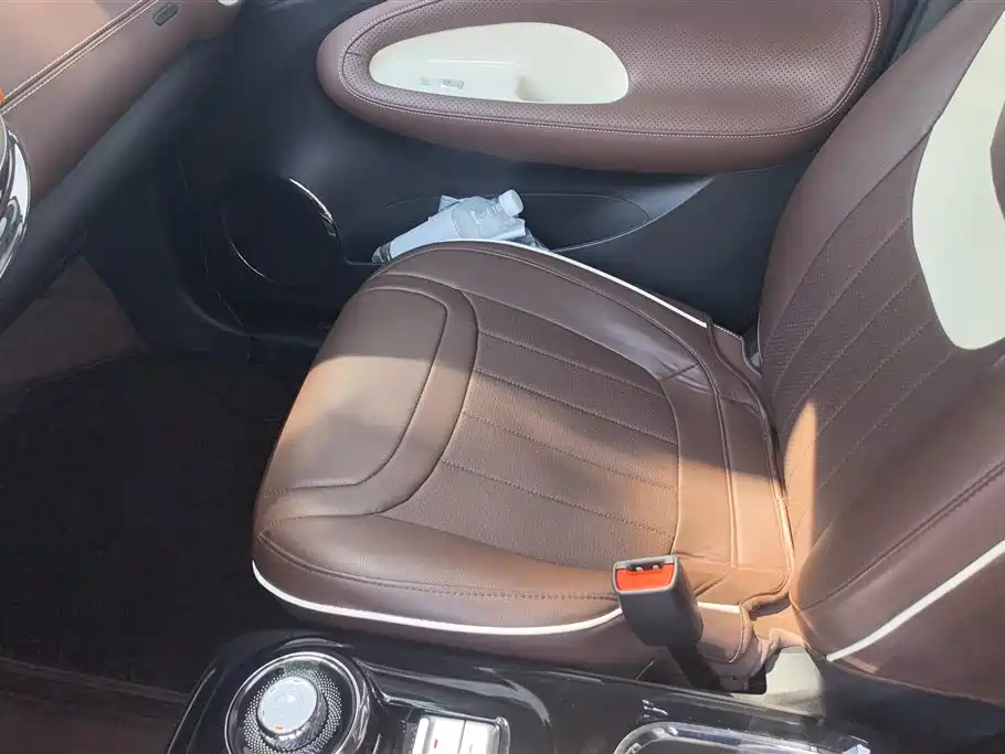 Wuling Binguo 2024 333km Enjoy