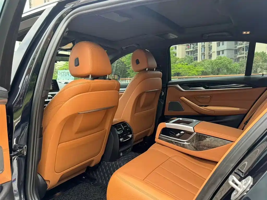 BMW 5 Series 5 2020 530Li Premium M Sport