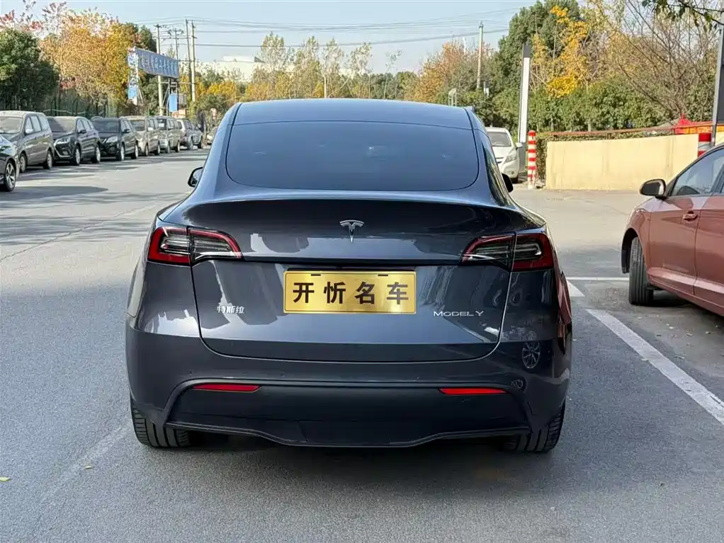 TESLA MODEL Y