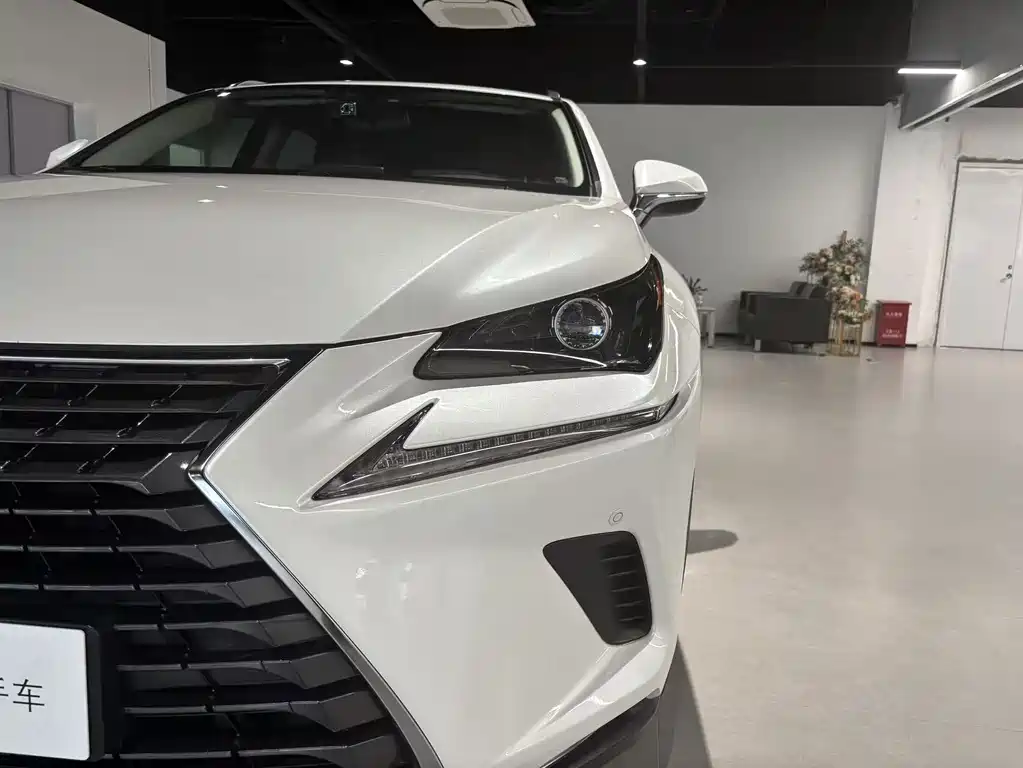 Lexus NX 2018 200 V