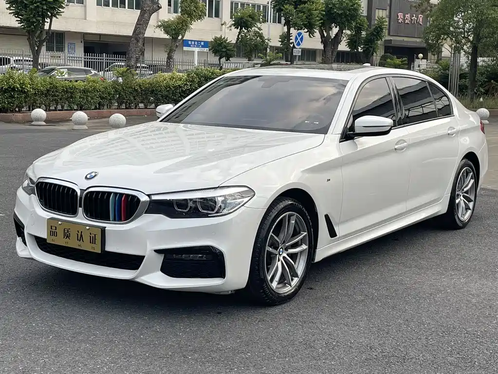 BMW 5 Series 5 2019 525Li M Sport