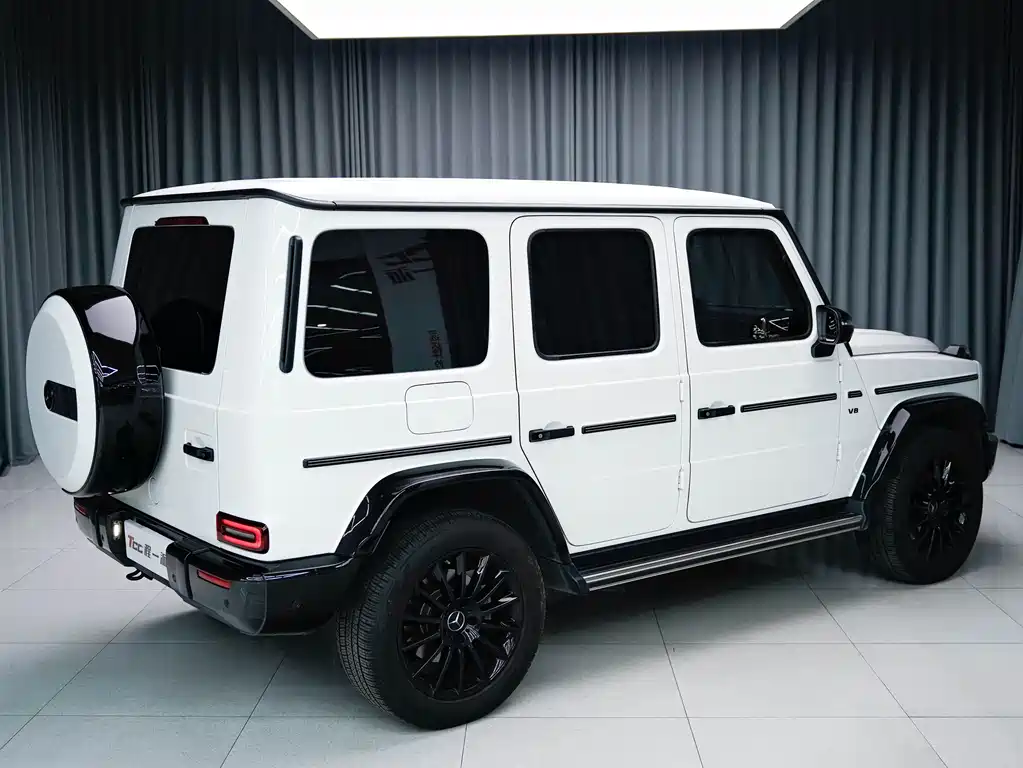MERCEDES-BENZ G CLASS