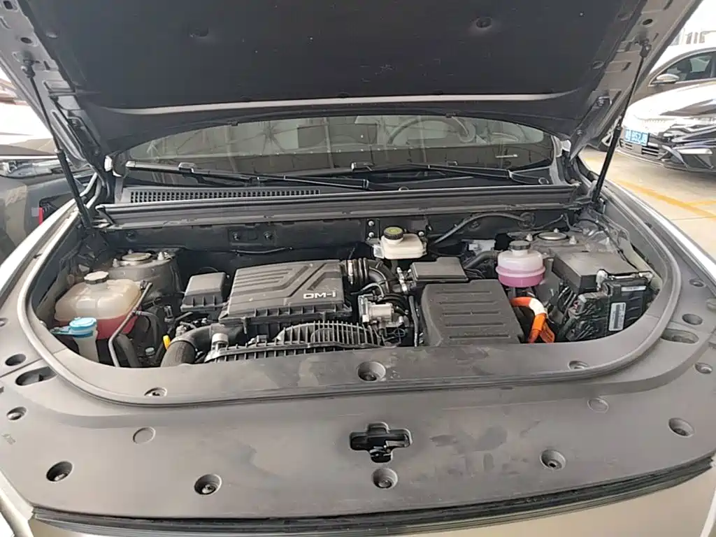 BYD Pro New Energy — миниатюра 20