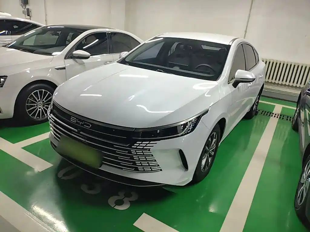 BYD Destroyer 05 2023 Champion Edition DM-i 55KM Luxury Type