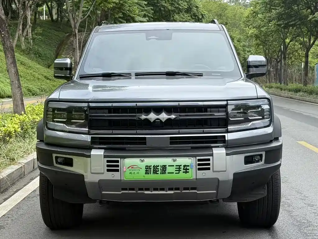 FANG CHENG BAO LEOPARD 5