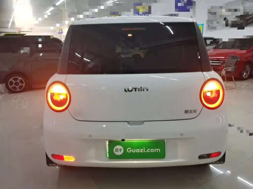 Qiyuan Lumin — миниатюра 6
