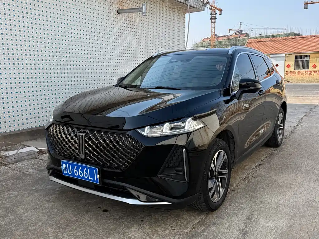 WEI PAI MACCHIATO DHT