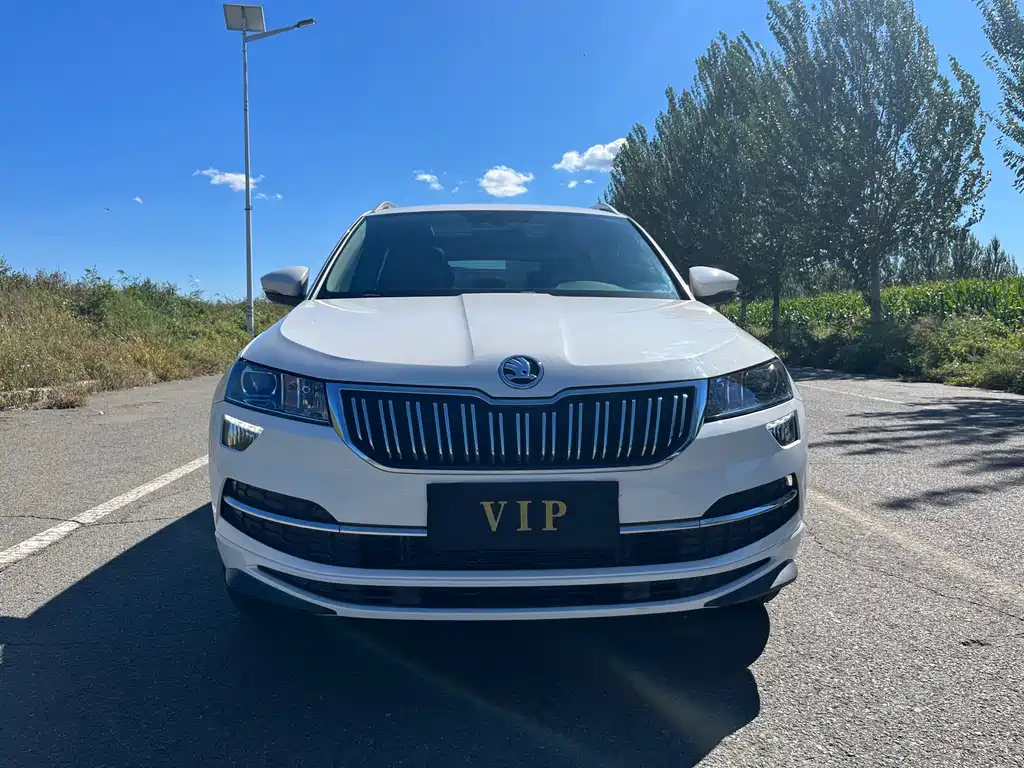 Skoda Karoq — миниатюра 2