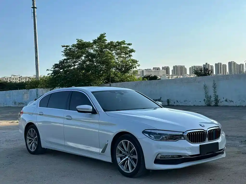 BMW 5 Series 5 2018 530Le Luxury