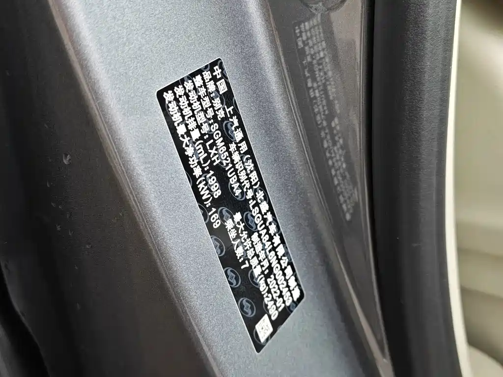 Buick GL8 — миниатюра 23