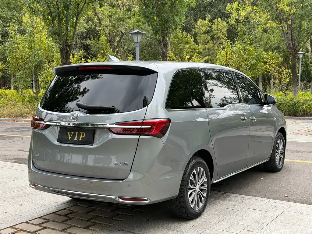 Buick GL8 — миниатюра 20