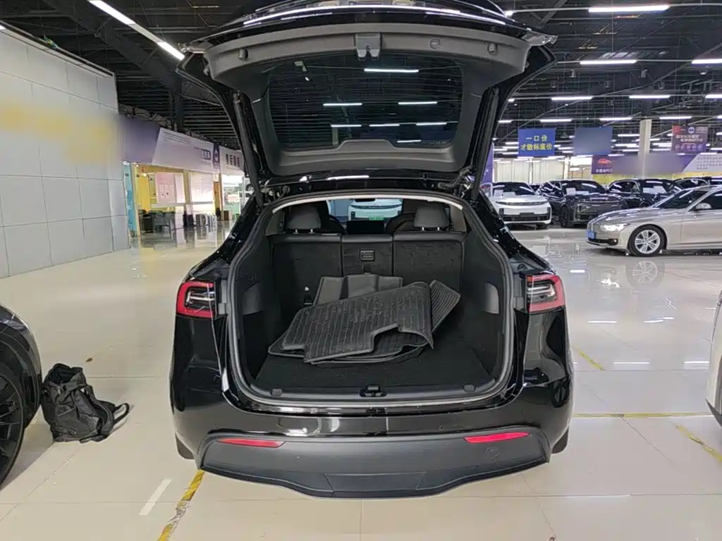 Tesla Model Y — миниатюра 19