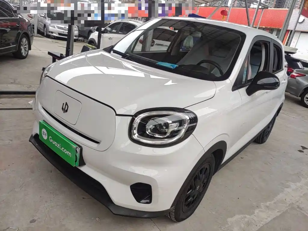 Leapmotor T03 2023 310