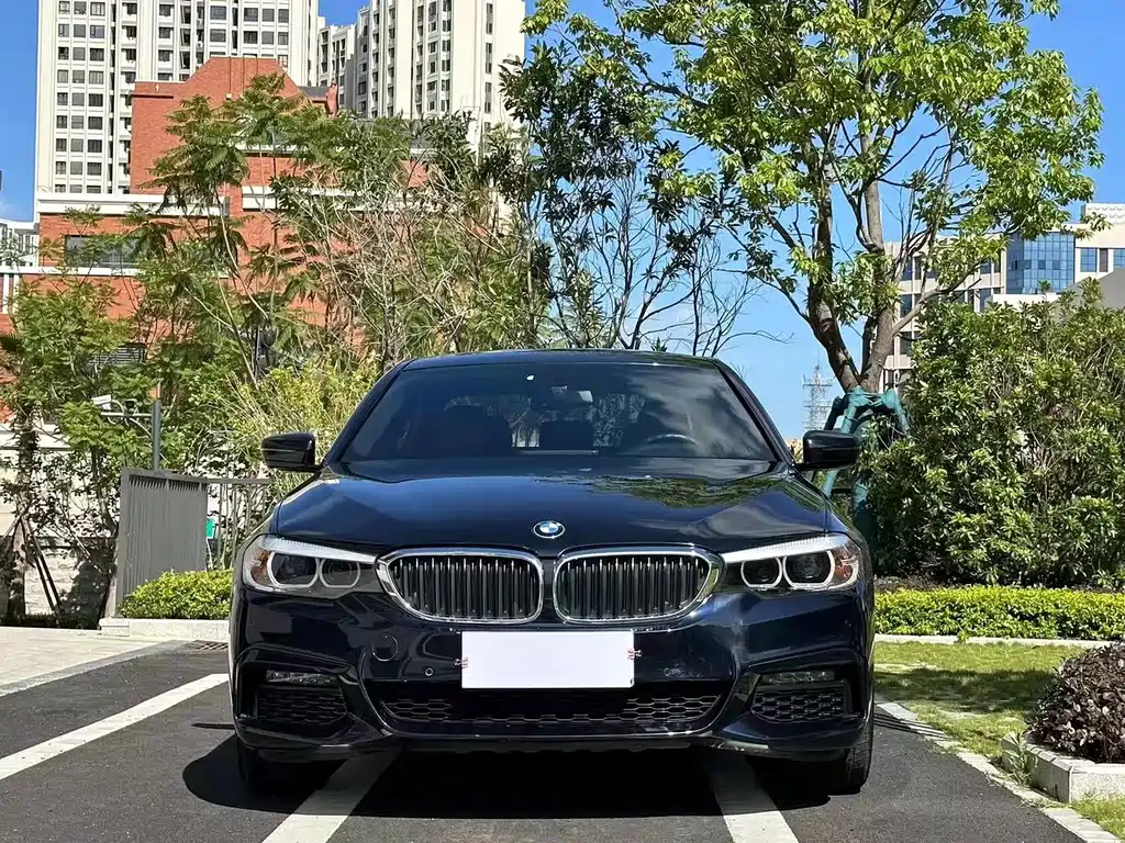 BMW 5 Series 5 2019 525Li M Sport