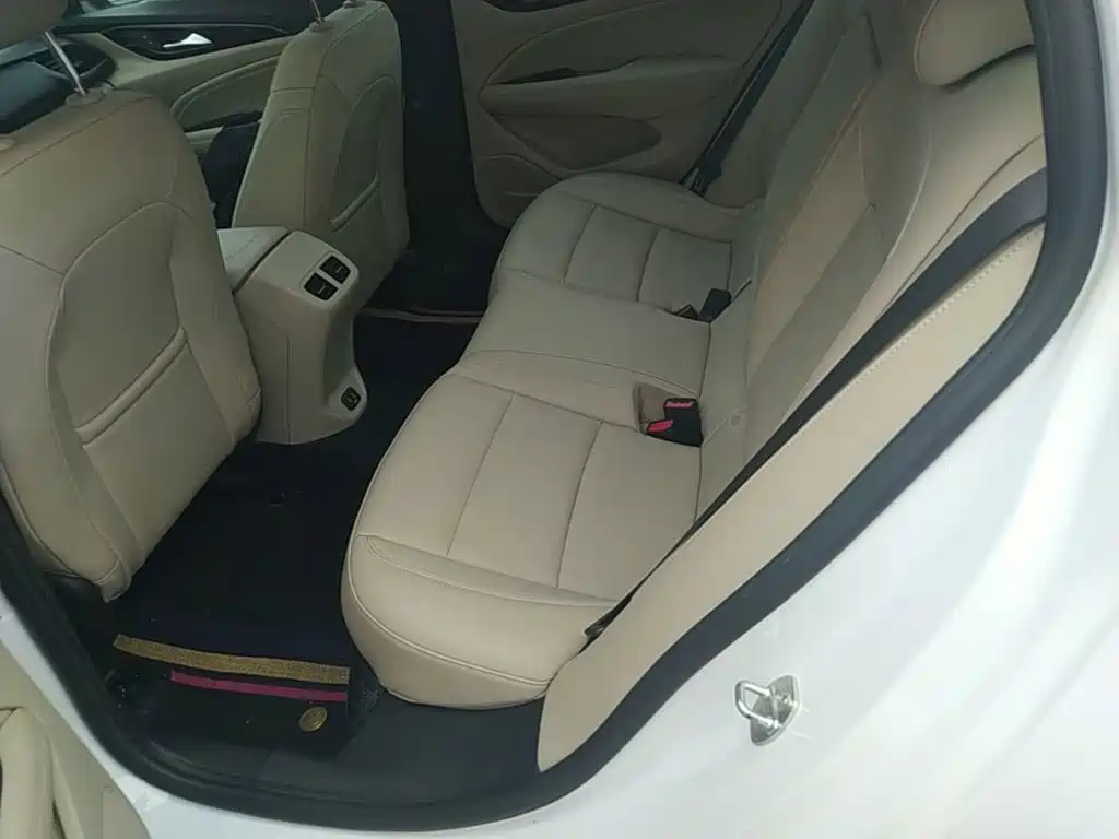 Buick Regal — миниатюра 17