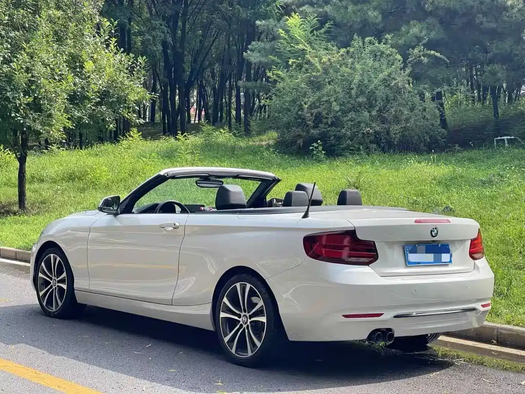 BMW 2 Series 2 2019 225i Sport