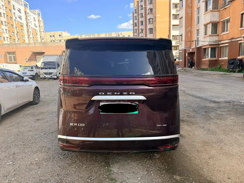 Denza Denza D9 — миниатюра 8
