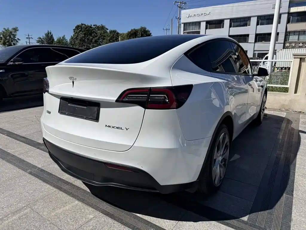 Tesla Model Y — миниатюра 7