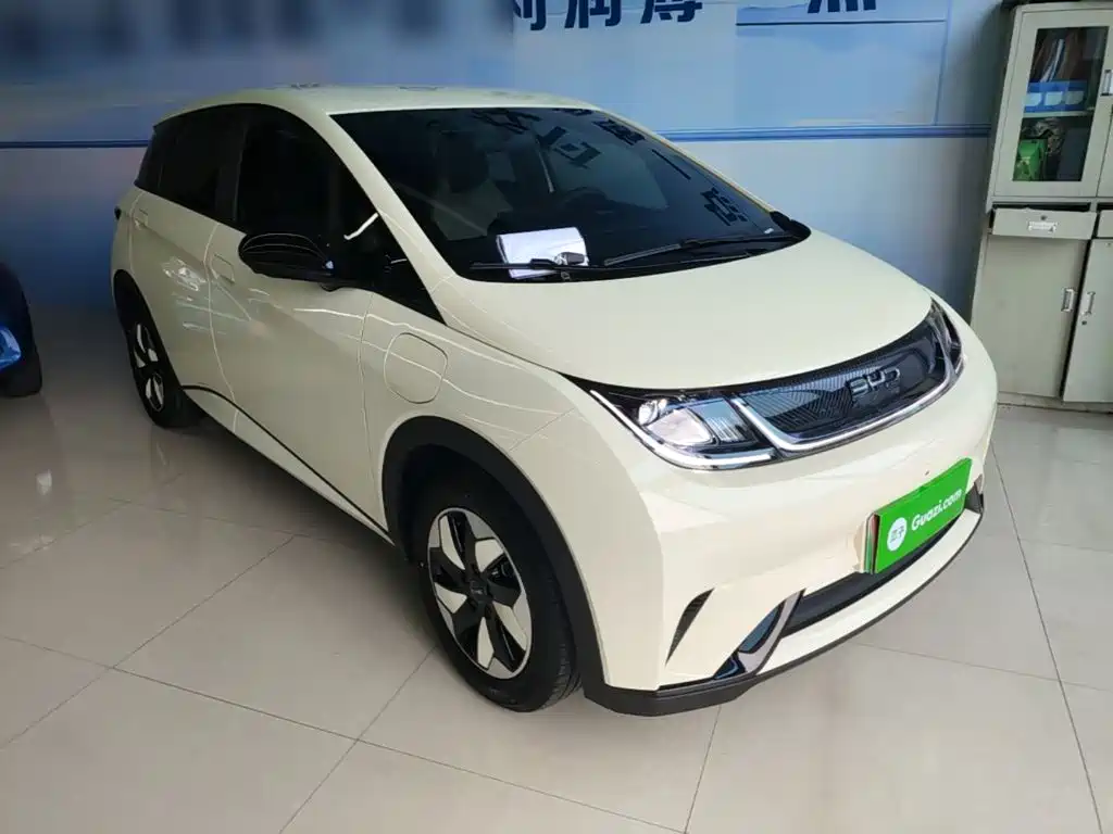 BYD Dolphin 2025 420km Freedom