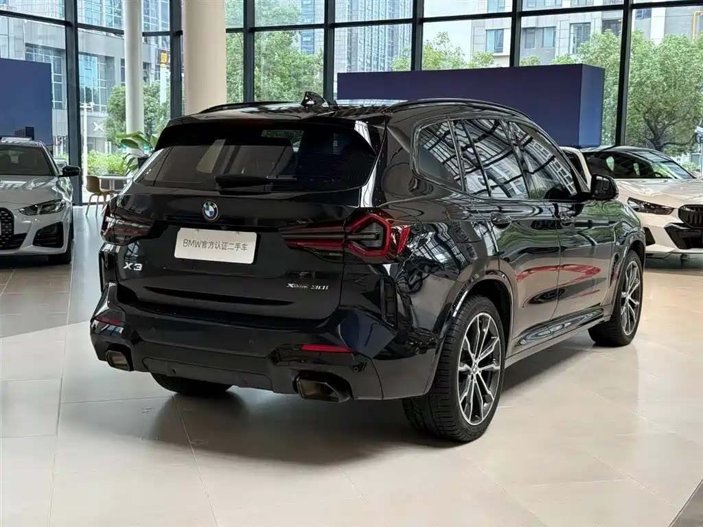 BMW X3 — миниатюра 3