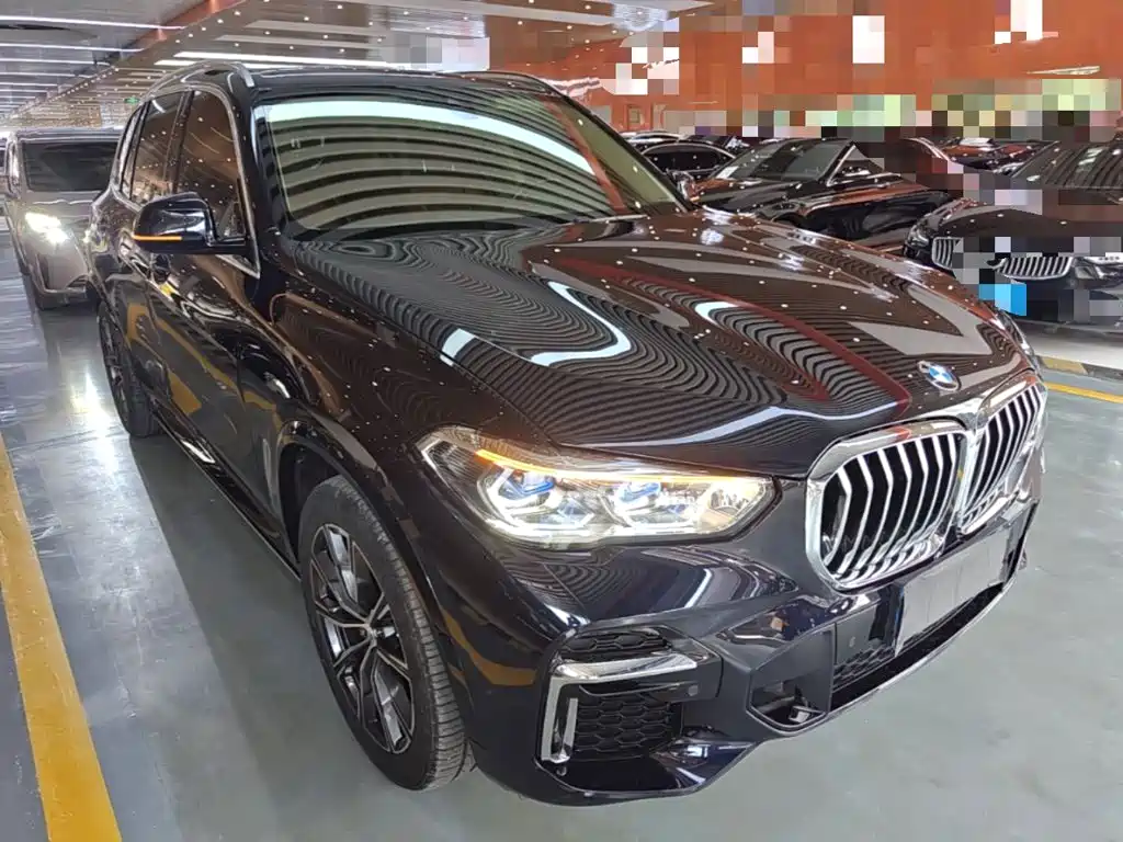 BMW X5 2022 xDrive 30Li Premium M Sport