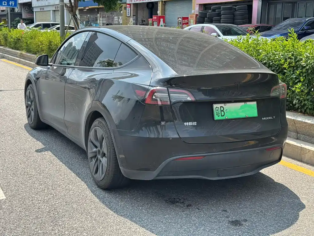 Tesla Model Y — миниатюра 8
