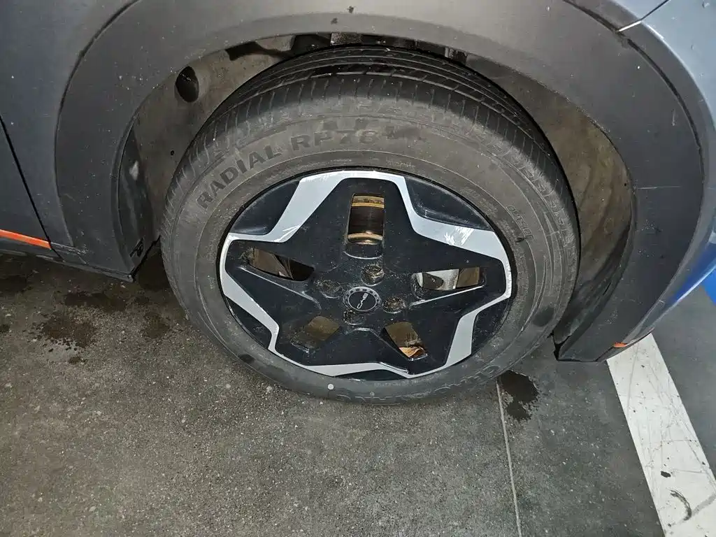 BYD Dolphin — миниатюра 8