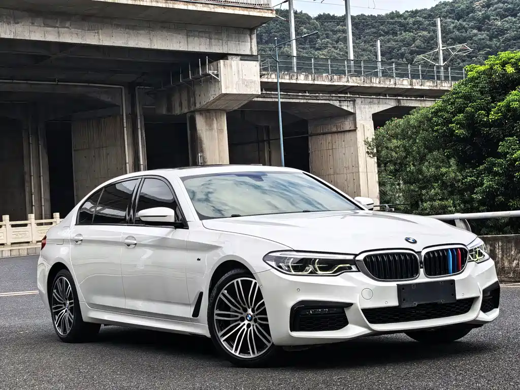 BMW 5 Series 5 2019 530Li Premium M Sport