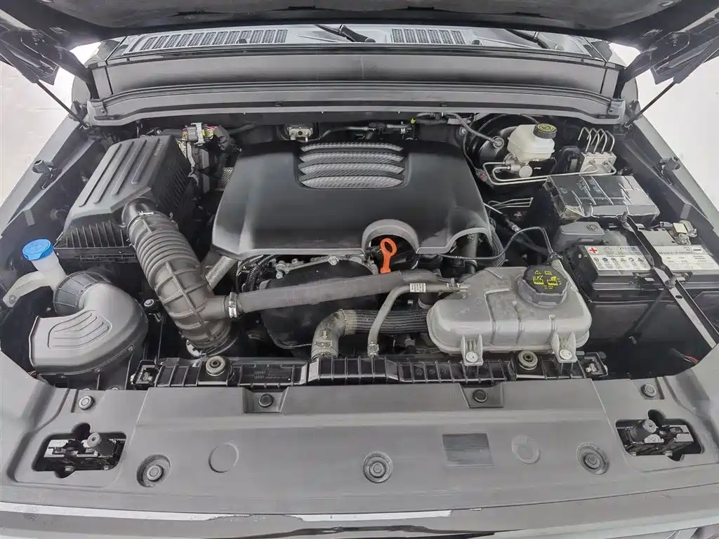 Tank 300 2024 2.0T