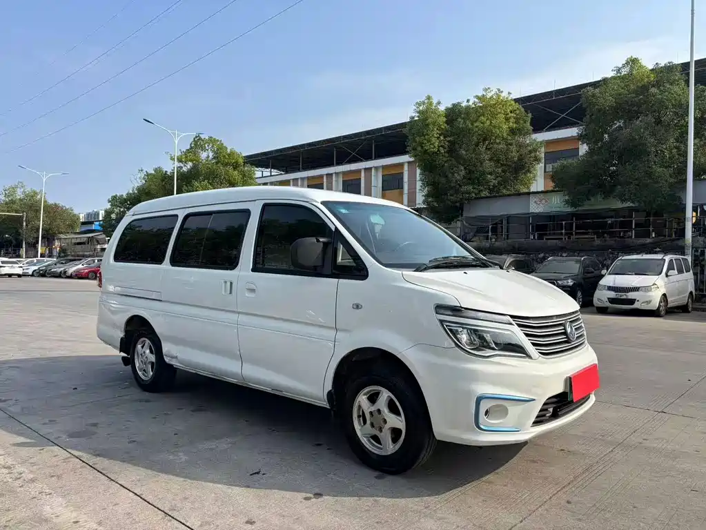 Fengxing Lingzhi New Energy