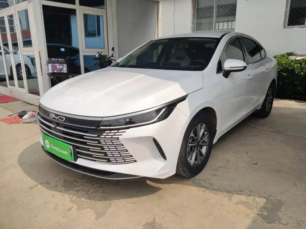 BYD Destroyer 05 2024 DM-i 55KM Luxury