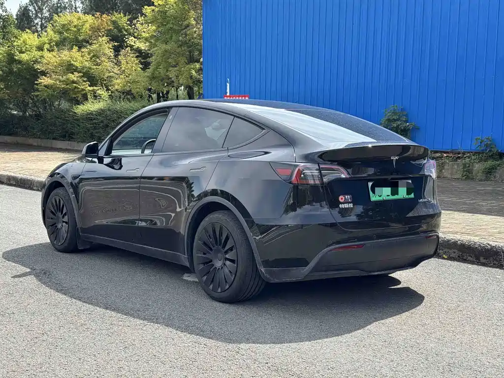 Tesla Model Y — миниатюра 5