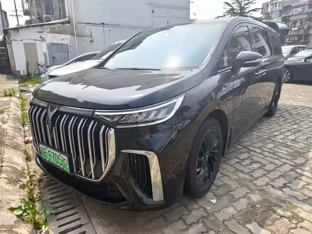 2023 Voyah Dream
