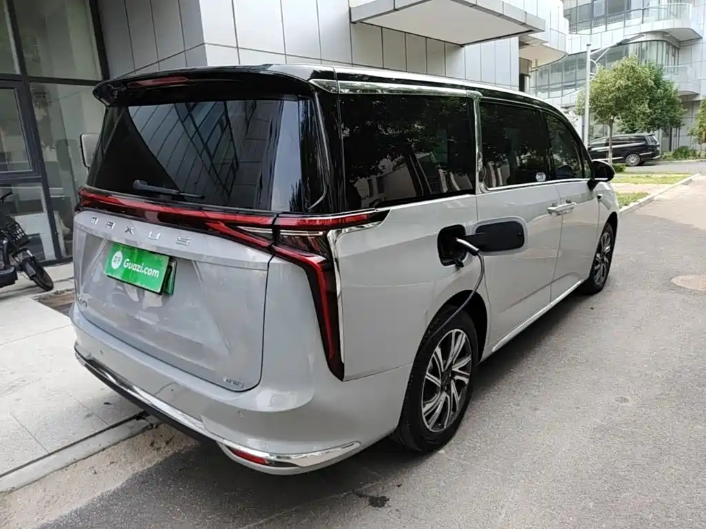 Maxus Dajia 9 — миниатюра 7