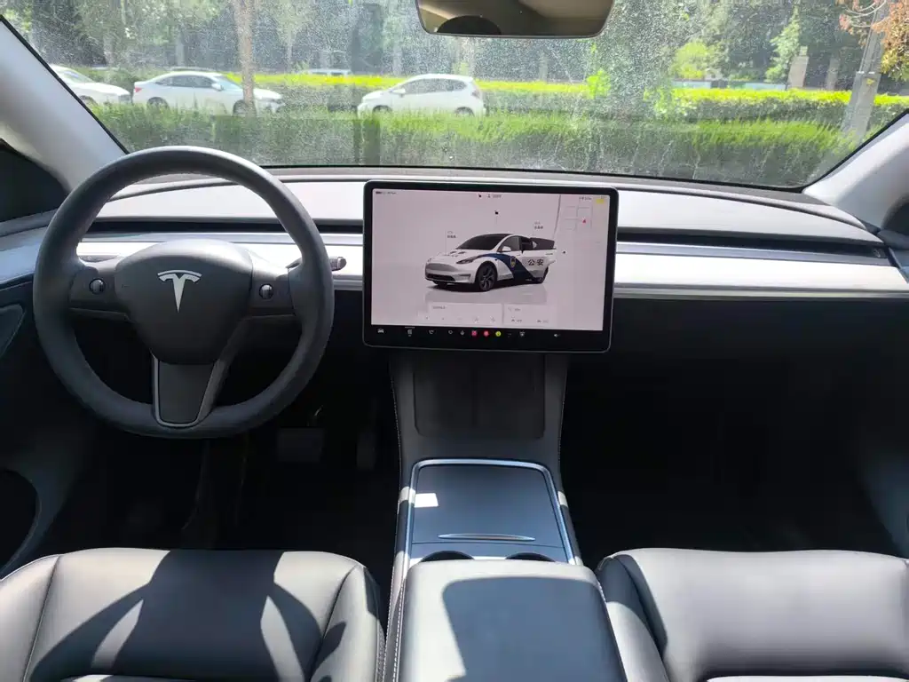 Tesla Model Y — фотографии объявления, Фото 11