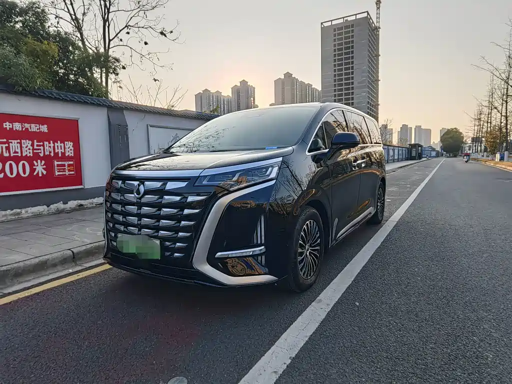 Denza Denza D9