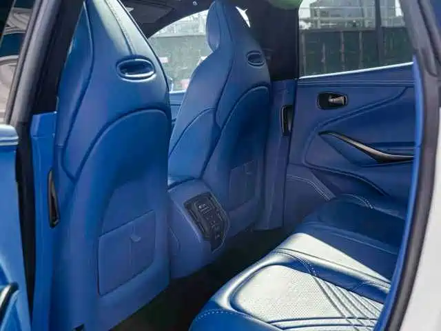 Aston Martin DBX — миниатюра 19