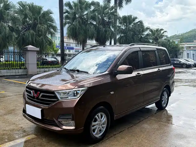 2019 Wuling Motors Hongguang